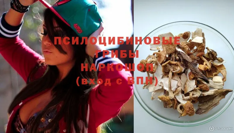 blacksprut как войти  Ясногорск  Псилоцибиновые грибы MAGIC MUSHROOMS  даркнет сайт 